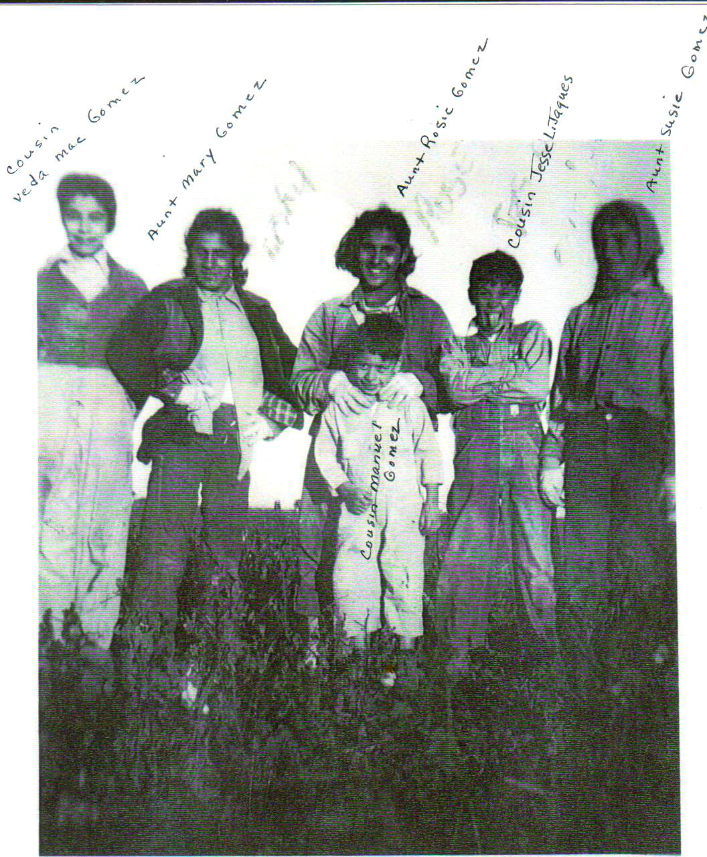 Cotton Fields in Texas; Pictured: Veda Mae Gomez (daughter of Joe C Gomez), Mary Louise Gomez (daughter of George R Gomez), Rosalia Gomez (daughter of George R Gomez), Jesse L. Jaques (son of Juanita Gomez Jaques Cannon), Susana Gomez ( daughter of George